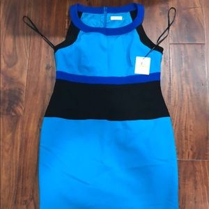 NWT Calvin Klein Dress